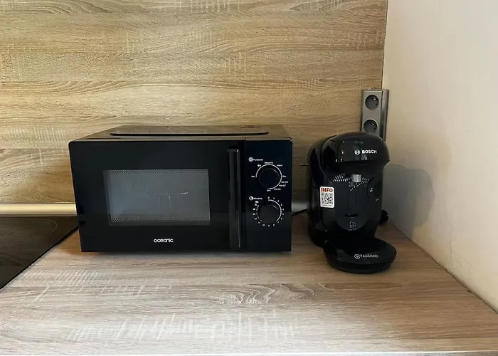 Grand Appartement Avec Jardin - Centre Ville