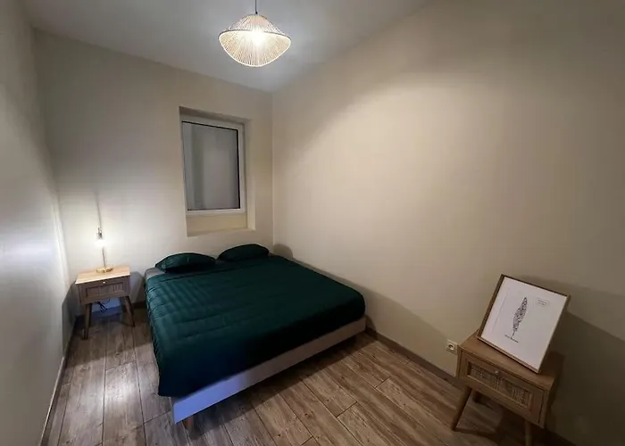 Grand Appartement Avec Jardin - Centre Ville