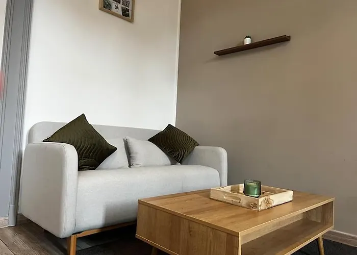Grand Appartement Avec Jardin - Centre Ville