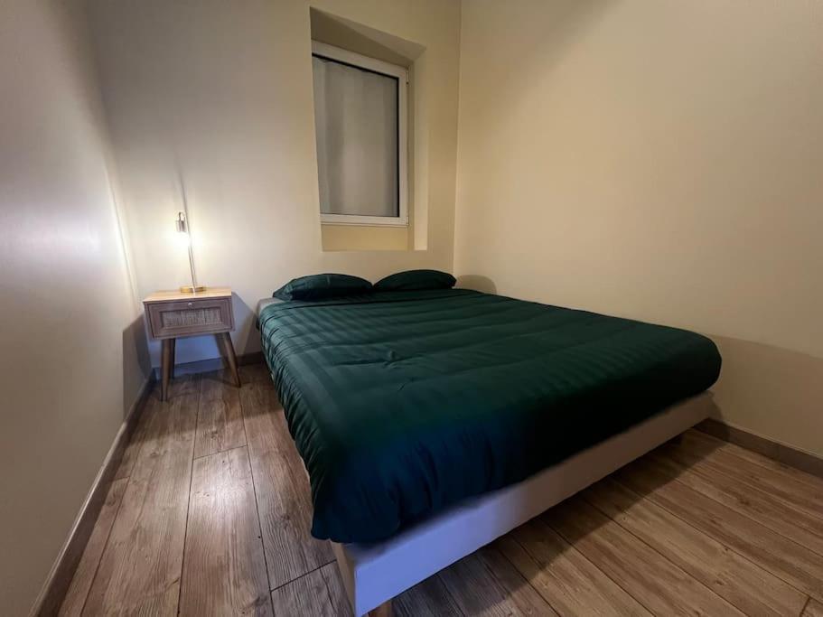 Grand Avec Jardin - Centre Apartment