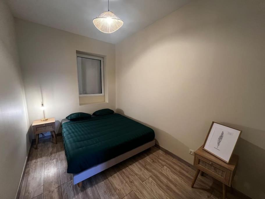 Apartment Grand Avec Jardin - Centre *